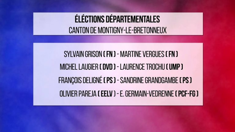 Départementales : les listes de candidats sont dévoilées