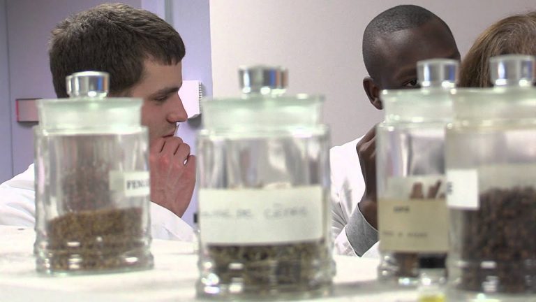 Economie : le métier de ‘nez’, parfumeur créateur