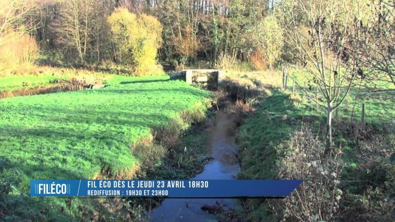 Bande annonce du Fil Eco de jeudi 23 avril
