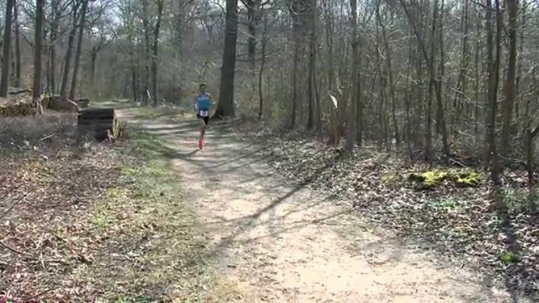 Guyancourse : 311 participants pour l&rsquo;édition 2015