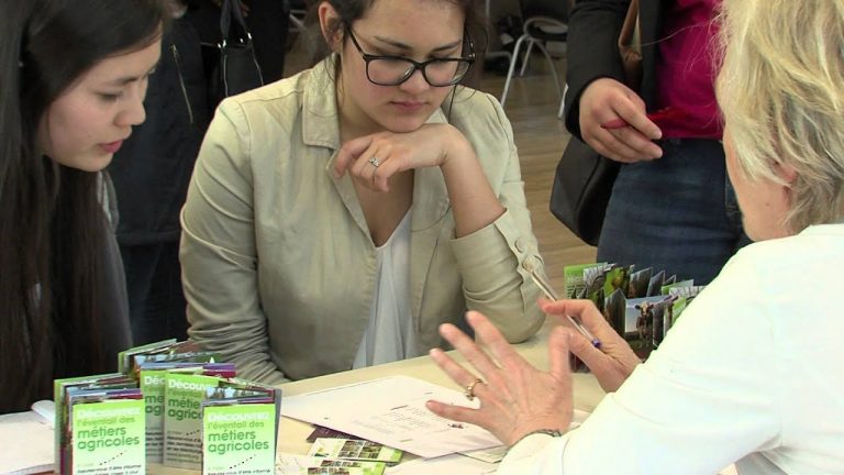 Jobs d&rsquo;été : un forum organisé par Yvelines Information Jeunesse