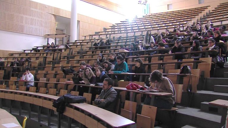 Université : les étudiants de l&rsquo;UVSQ ont &lsquo;fait un rêve&rsquo;…