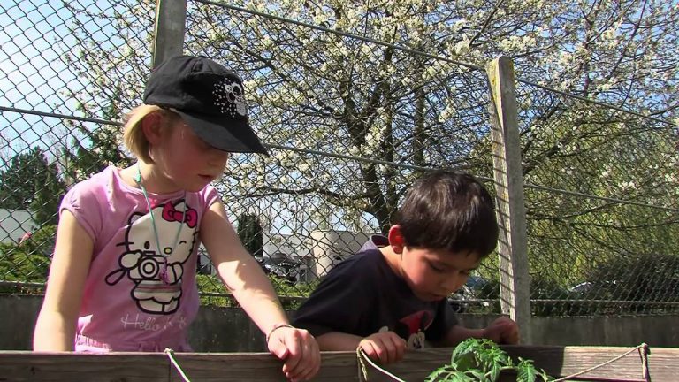 Vie locale : ils ont la main verte à La Verrière