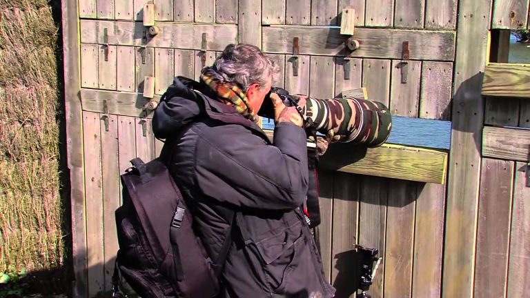 Environnement : les secrets de la réserve naturelle