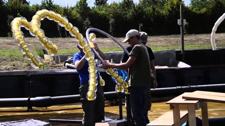 Culture : la renaissance du bosquet du théâtre d&rsquo;eau