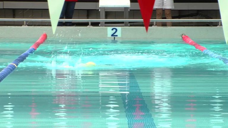 Sport : les futurs Yannick Agnel dans le bassin Guyancourtois