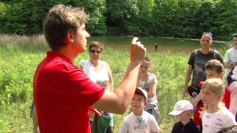 Fête de la nature : la biodiversité de l’étang du Val d’Or