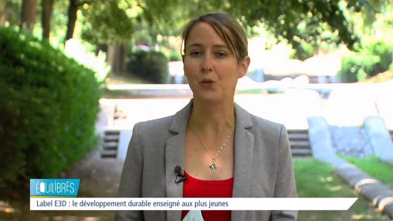 Equilibres – L’abeille, un pollinisateur indispensable