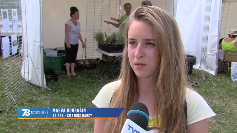 Vie locale : les jeunes de Bois d&rsquo;Arcy organisent la fête de la nature