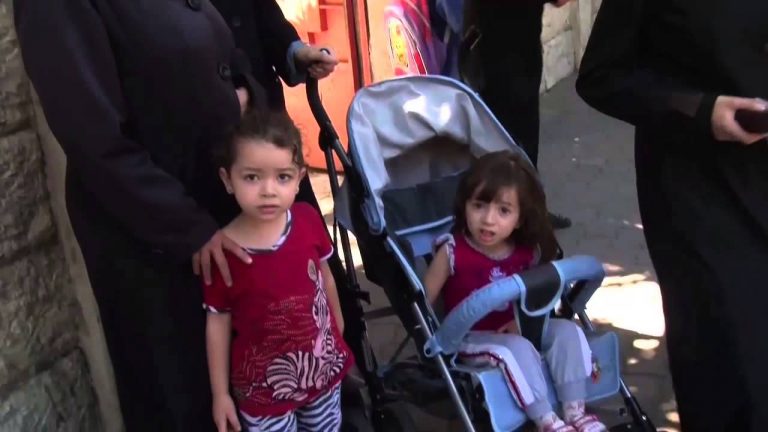 Europe (1/4) : année européenne pour le développement