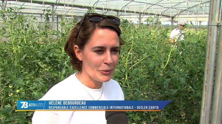 Société : des salariés deviennent jardiniers le temps d&rsquo;une action solidaire