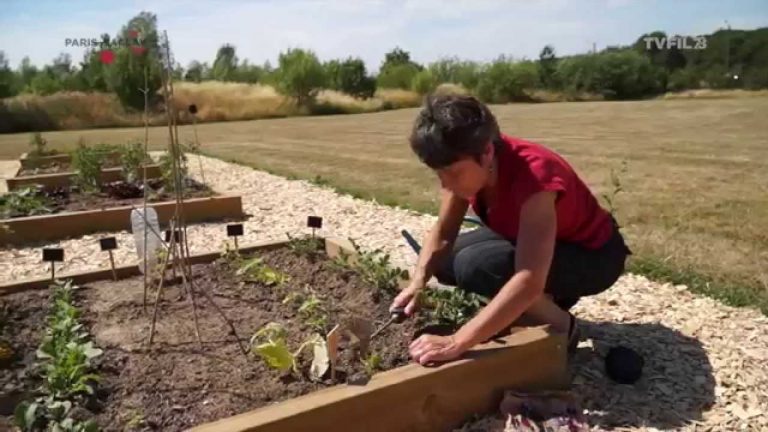 JARDIN POTAGER / DANONE RESEARCH