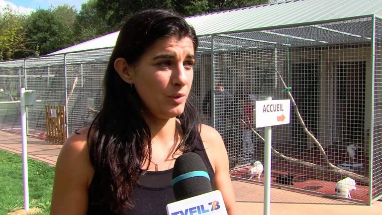 SPA : les refuges sont saturés