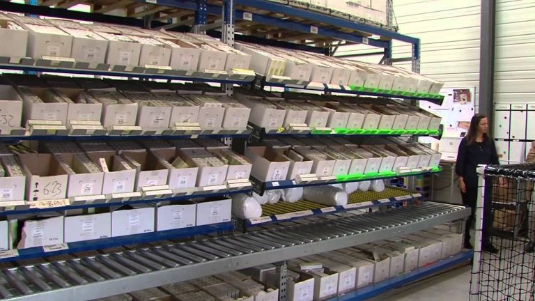 Economie : petit ‘Generik’ deviendra grand