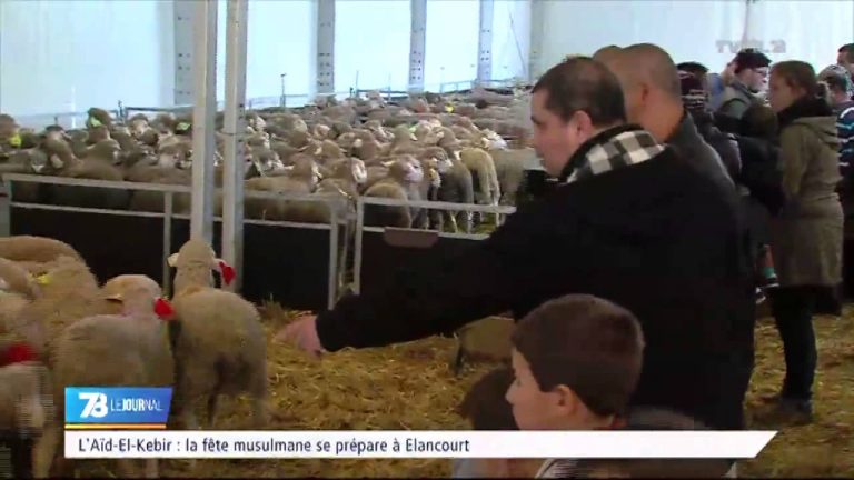 L’Aïd-El-Khebir : la fête musulmane se prépare à Elancourt