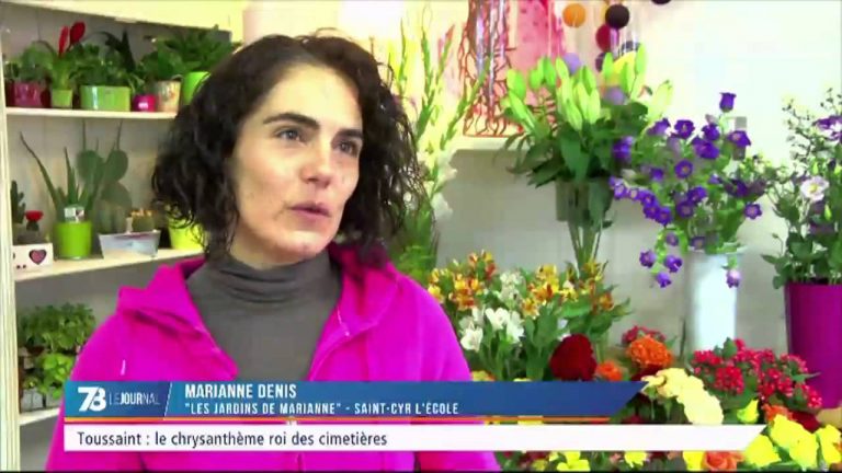 Toussaint : le chrysanthème roi des cimetières