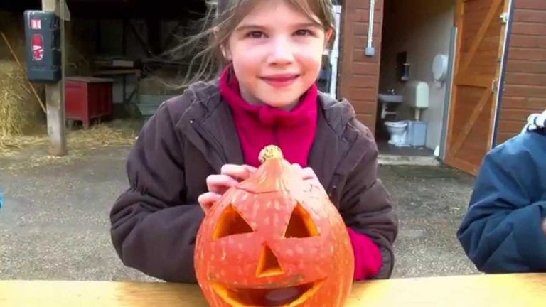 Halloween : atelier citrouille à l’Île-des-Loisirs