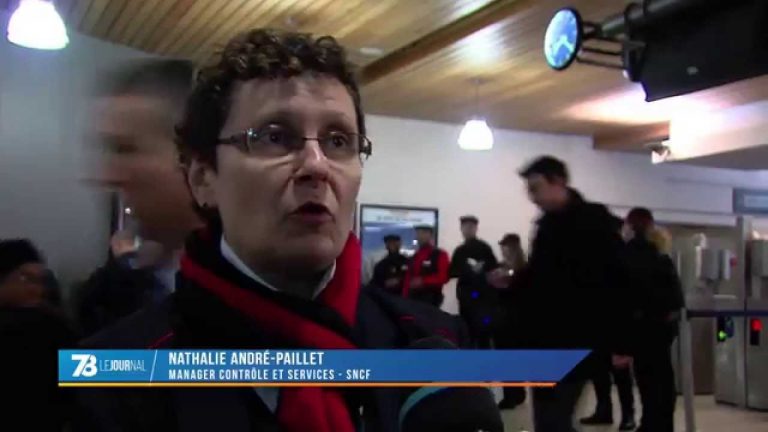 Lutte contre la fraude : vaste opération à la SNCF