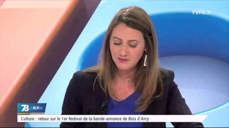 7e art : le premier festival de Bois d’Arcy dédié à la Bande-Annonce