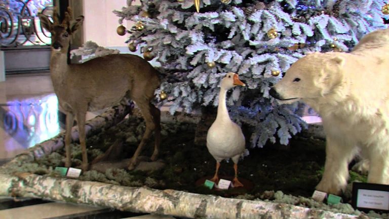 ‘Deyrolle’ au Trianon Palace : deux maisons de luxe s’associent pour la magie de Noël