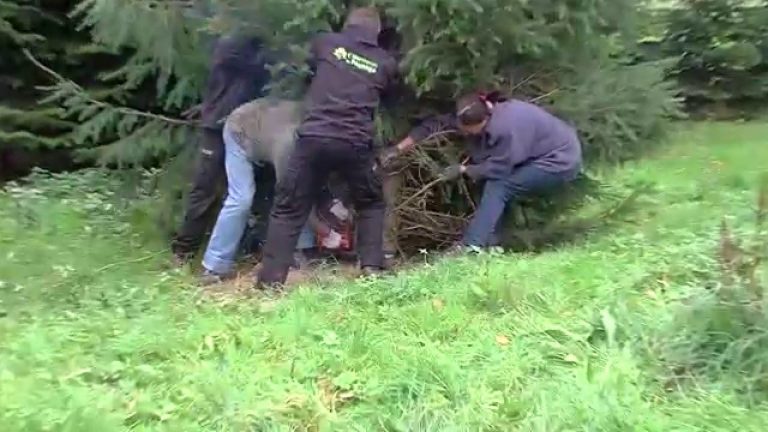 Noël : les communes peaufinent leurs décorations