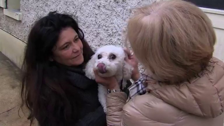 Noël : bien réfléchir avant d’adopter un animal