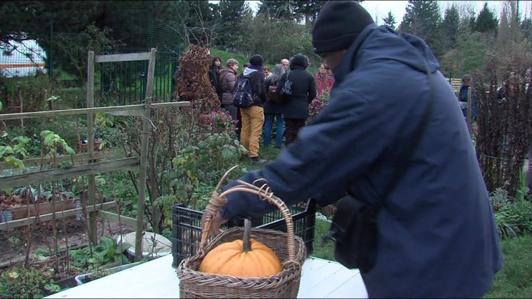 Agriculture : bilan et enjeux à Saint-Quentin-en-Yvelines