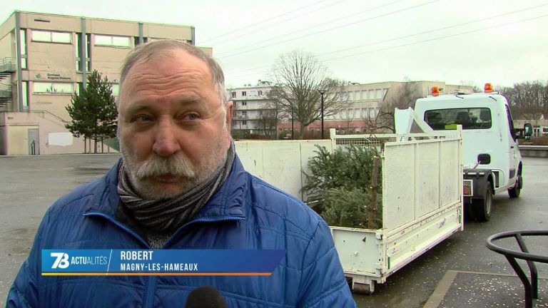 Environnement : adopter le geste recyclage pour son sapin