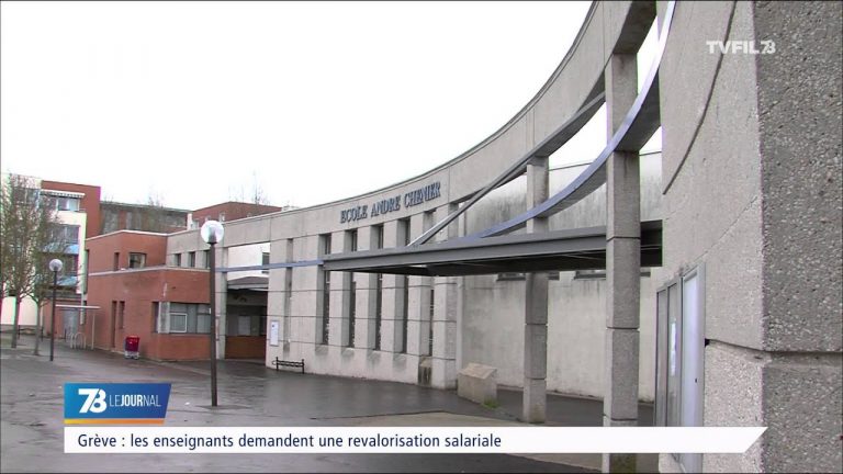Grève : les enseignants demander une revalorisation salariale