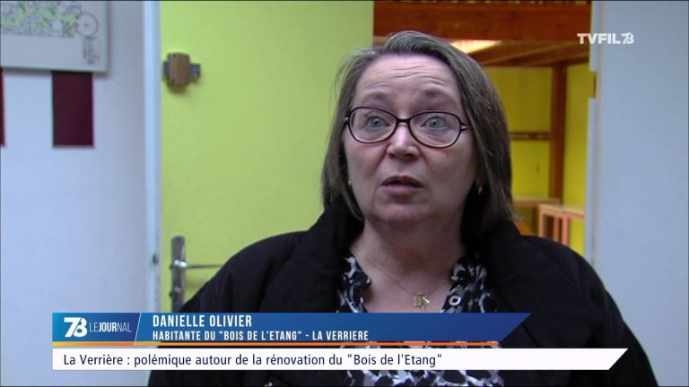 La Verrière : polémique autour de la rénovation du ‘Bois de l’Étang’