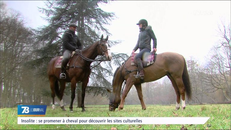 Insolite : découverte du patrimoine à Cheval