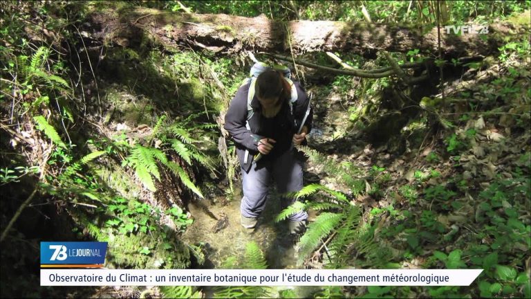 Observatoire du climat : un inventaire botanique pour l’étude du changement météorologique