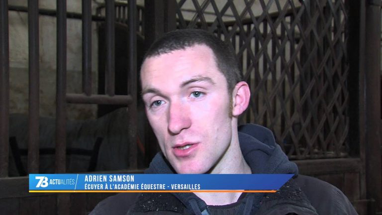 Versailles : Les spectacles reprennent à L’Académie Equestre