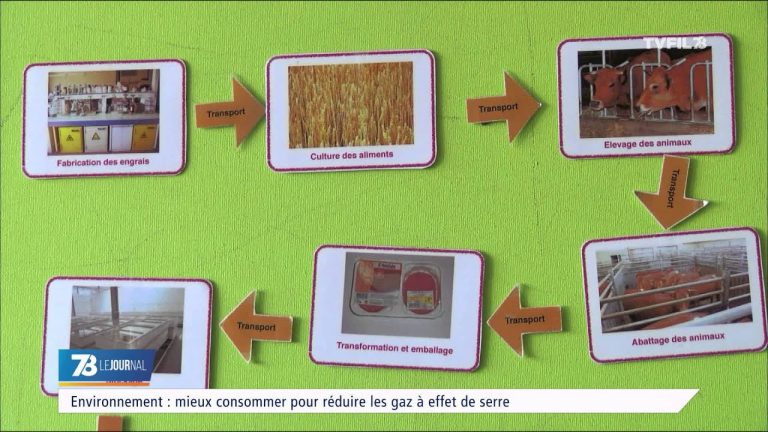 Environnement : mieux consommer pour réduire les gaz à effet de serre