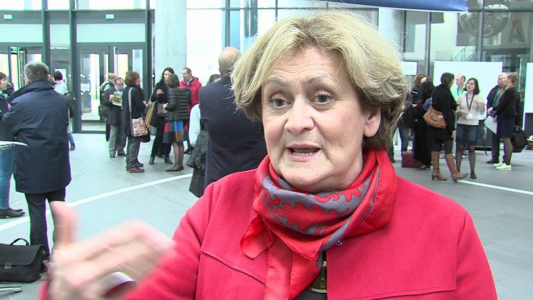 Yvelines : le département dévoile ses orientations culturelles