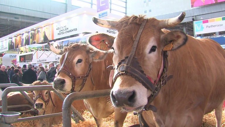 Salon de l’agriculture : la ferme de Vilain prend soin des animaux