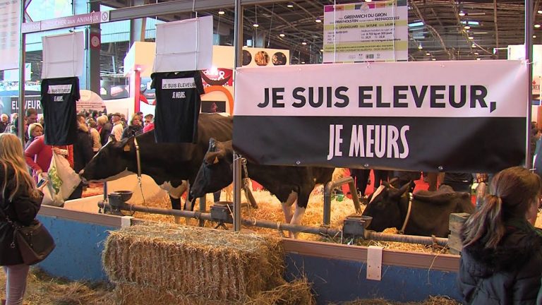 Salon de l’agriculture : quel bilan pour le monde agricole ?