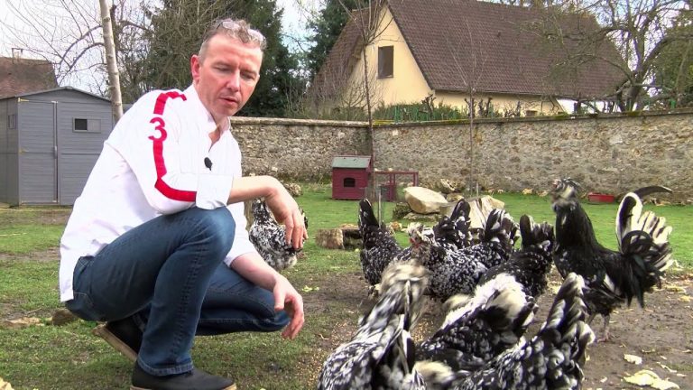 Rencontre avec Laurent Trochain, chef étoilé dans les Yvelines
