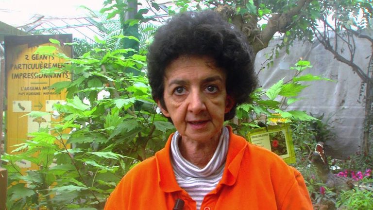 Loisirs : réouverture de ‘la serre aux papillons’