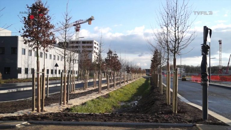 Aménagements- Boulevards Quartier Polytechnique