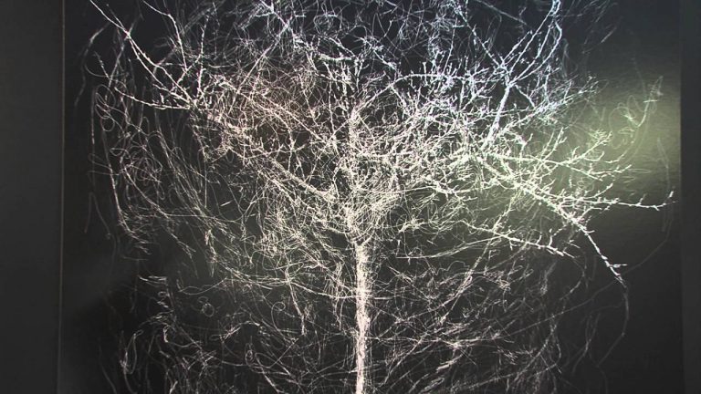 Arts plastiques : Bertrand Flachot prolonge le réel par le numérique