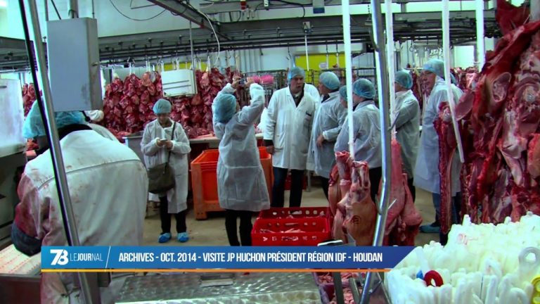 Violence animale : comment sont encadrés les abattoirs ?