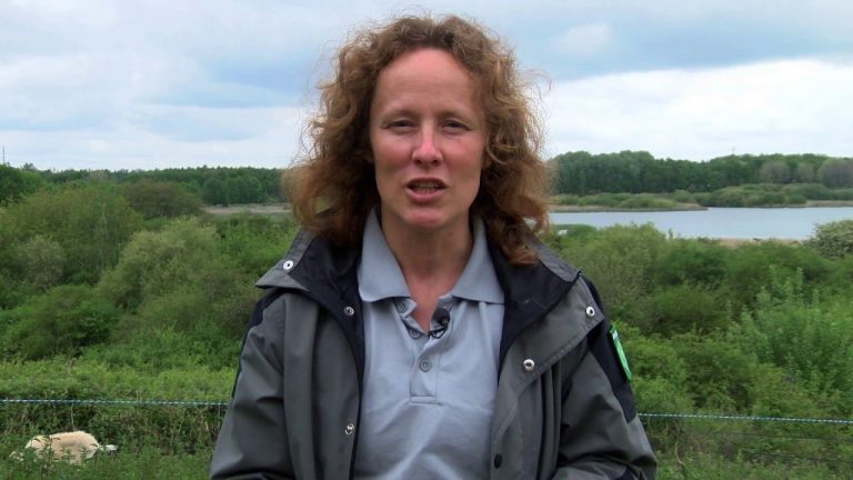 île de Loisirs : Une randonnée pour découvrir le patrimoine naturel