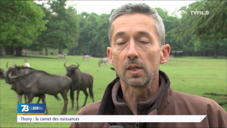 Agriculteurs : la FDSEA dresse son bilan annuel