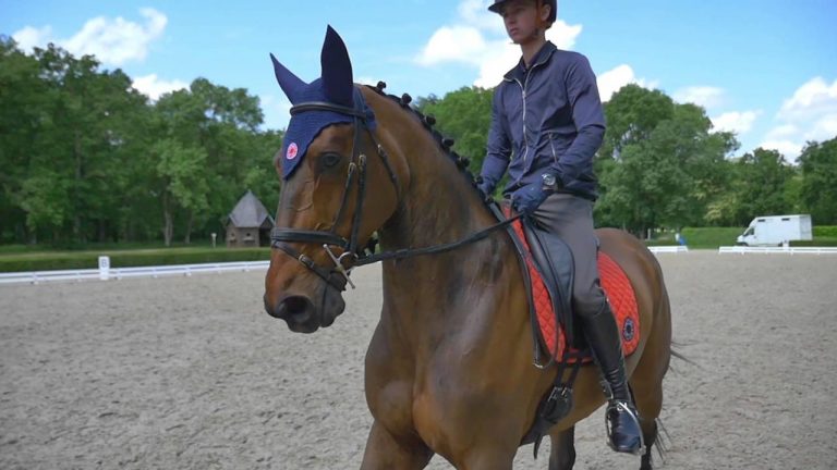 Equitation : Victor Leveque, jeune prodige yvelinois