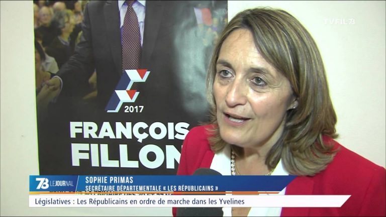 Législatives : Les Républicains en ordre de marche dans les Yvelines