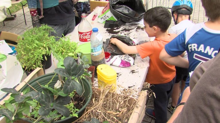 Environnement : Fête de la nature à Bois d&rsquo;Arcy