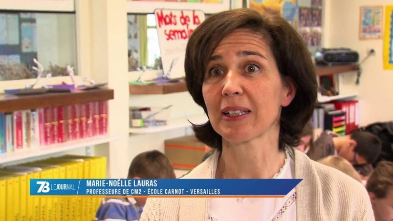 Euro 2016 : Les écoles de Versailles derrière l&rsquo;Irlande