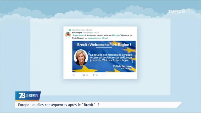 Europe : les élus yvelinois réagissent au Brexit