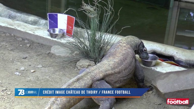 Euro 2016 – Les pronostics du Varan pour FRANCE – ALLEMAGNE